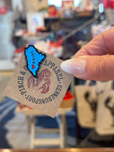 Maine pin