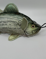 Bass dog toy