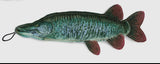 Muskie dog toy
